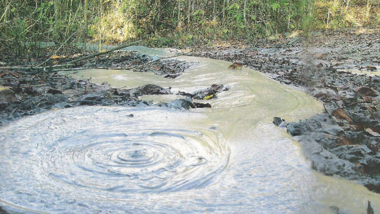 Mud volcanoes in Baratang, Andaman and Nicobar Islands, have made it to the list Mud volcanoes in Baratang, Andaman and Nicobar Islands, have made it to the list