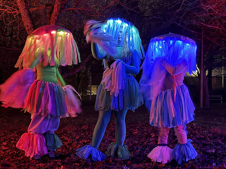3 November: Säveltäjänpuisto Carnival of Lights