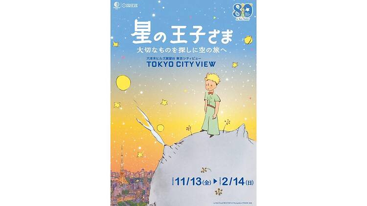 星の王子さま 大切なものを探しに空の旅へ 星の王子さま 大切なものを探しに空の旅へ