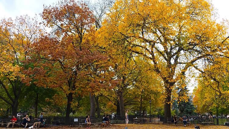 Tompkins Square Park Tompkins Square Park