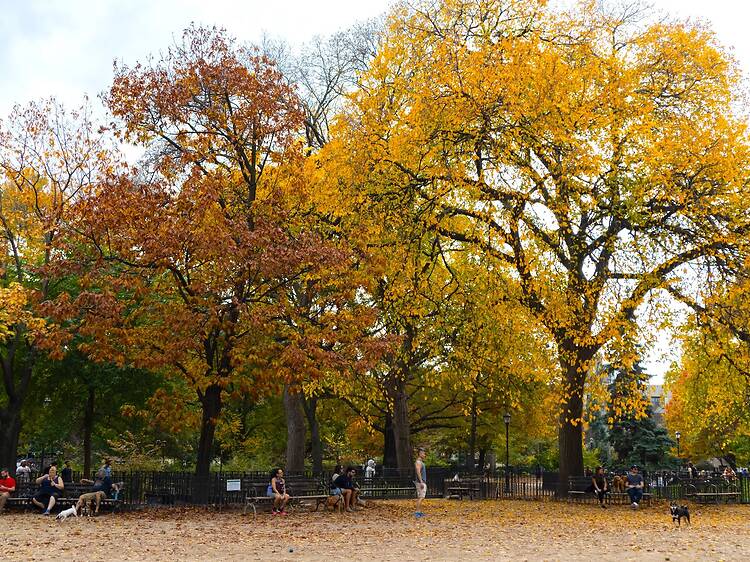 Tompkins Square Park’s $10 million makeover will include a kiddie pool, a new outdoor gym and eco upgrades