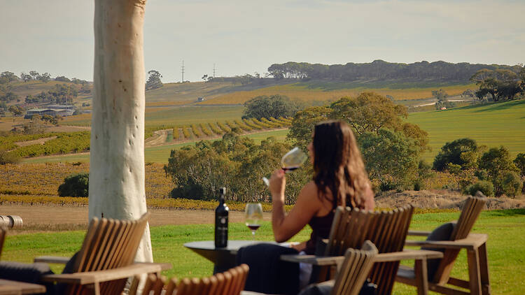 Winery setting