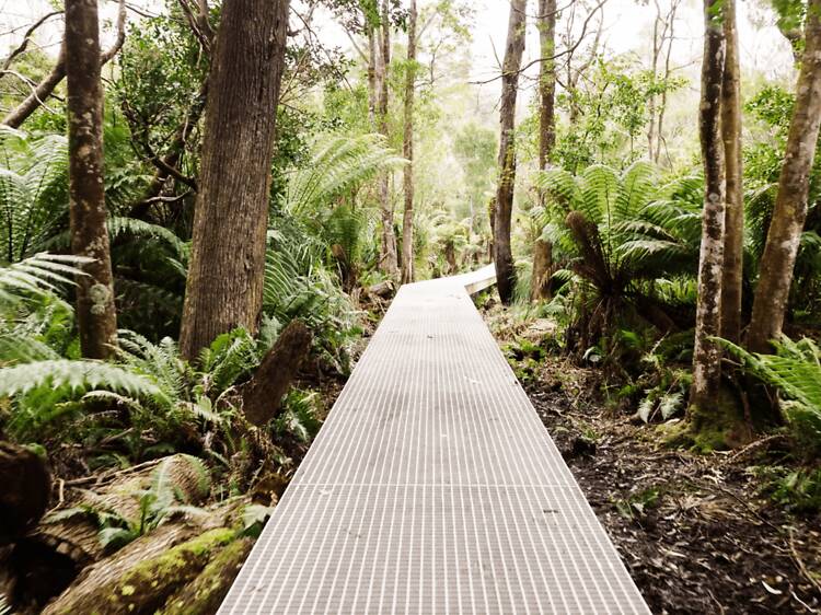 After 5 years, an iconic Wilsons Prom boardwalk has finally reopened