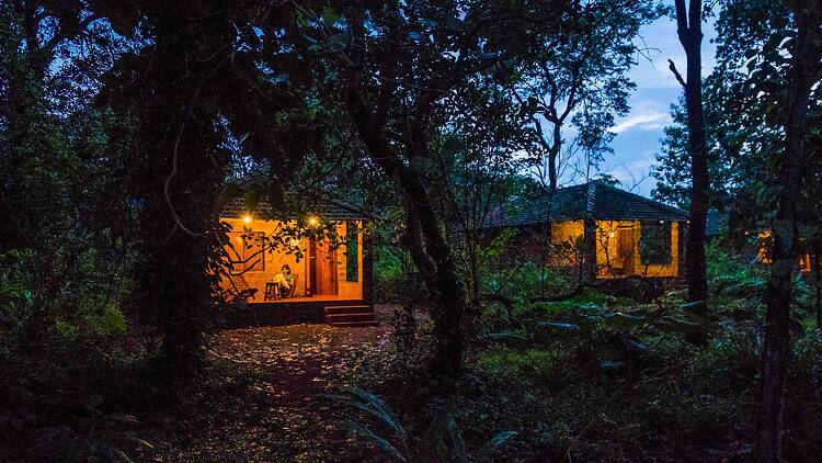 The cottages at Dudhsagar Plantation at dusk