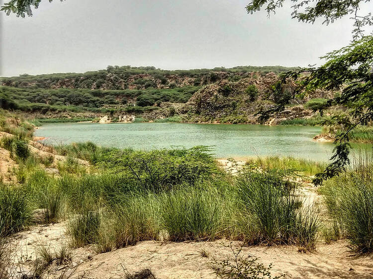 I swam in a lake in Faridabad and here’s why more people should too