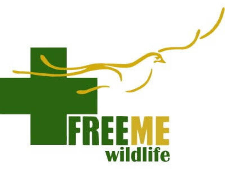 The Nearness of Wild Things: FreeMe Fundraiser