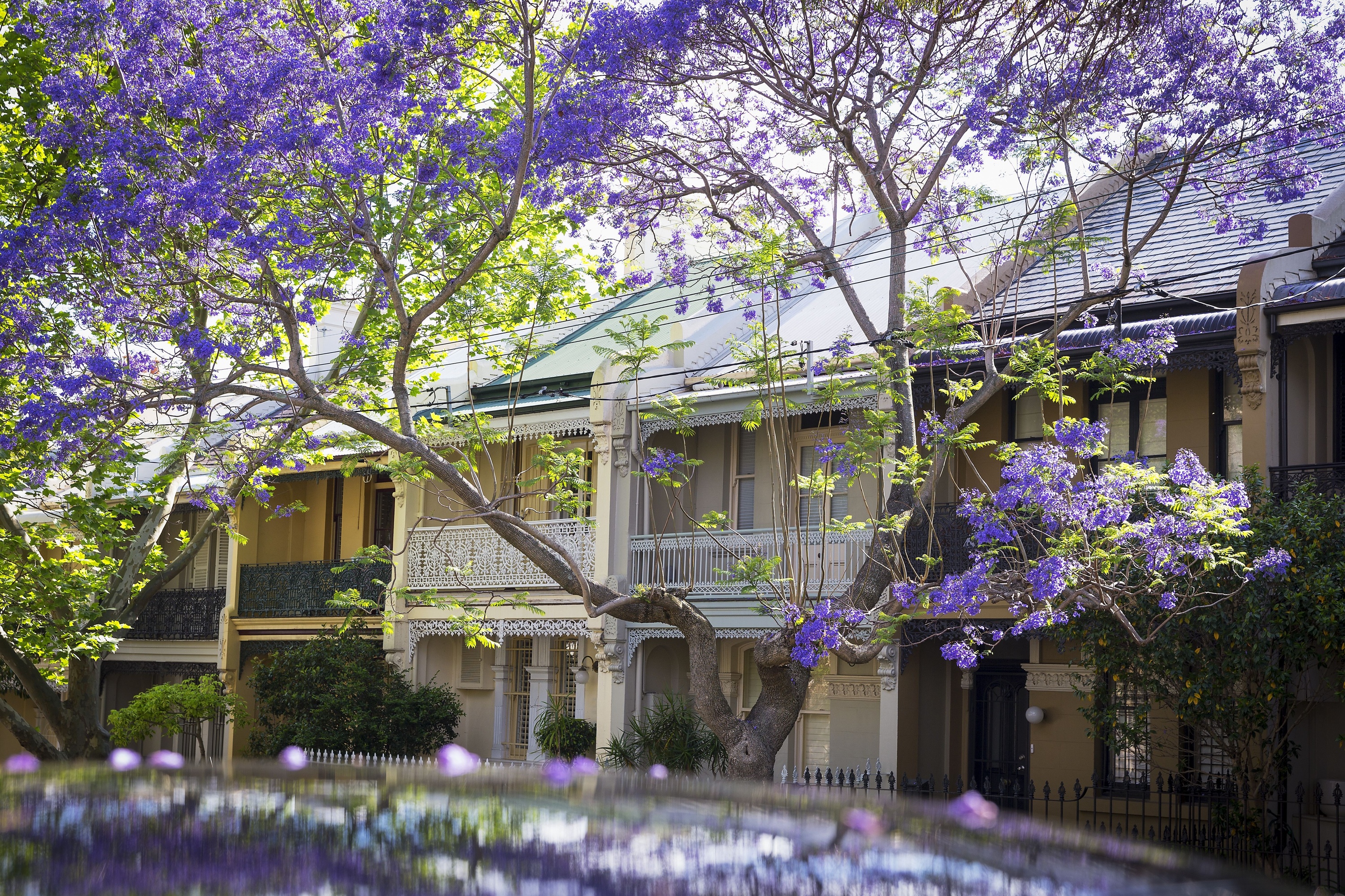 Australia's house values have dropped in every capital city for the first time in 15 years