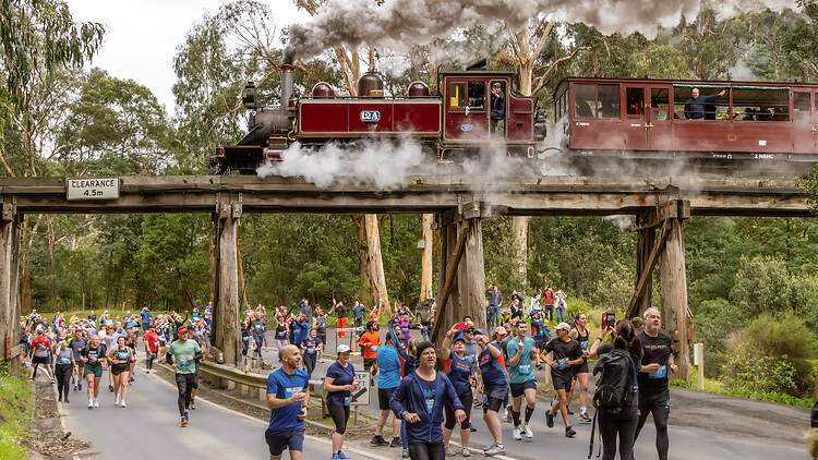 Puffing Billy Running Festival Puffing Billy Running Festival