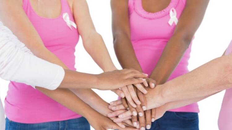 Netcare Femina Hospital: Breast and Bone, Arcadia