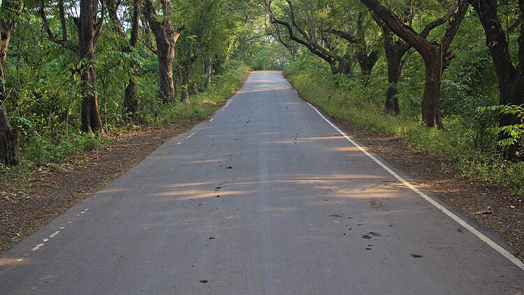 Aarey Milk Colony | Goregaon Aarey Milk Colony | Goregaon