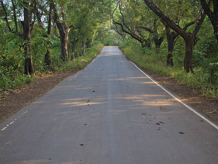 Aarey Milk Colony | Goregaon Aarey Milk Colony | Goregaon