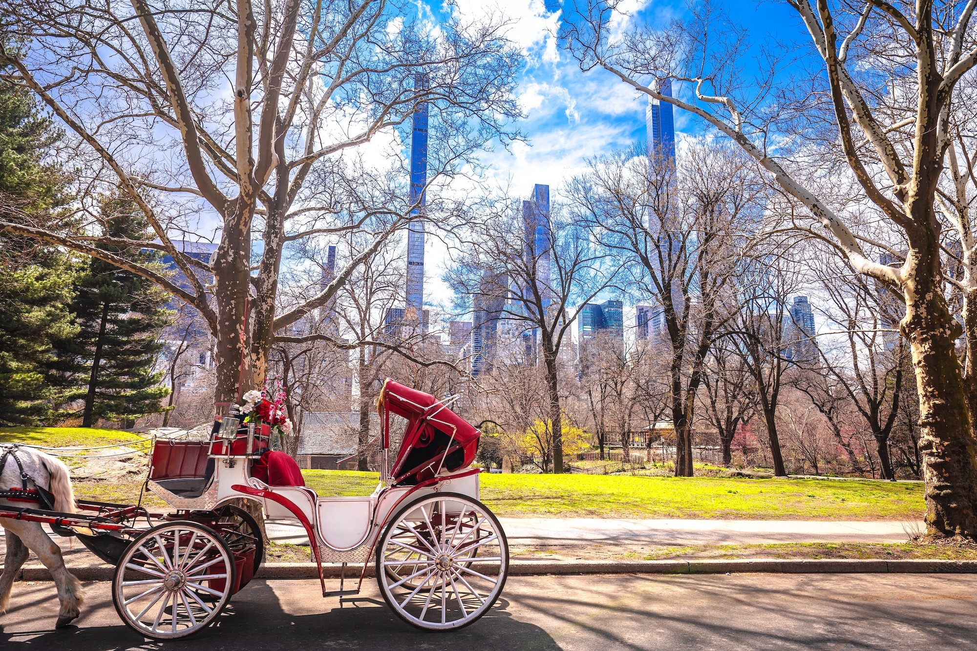 When does the NYC horse carriage ban go into effect? What locals and tourists need to know