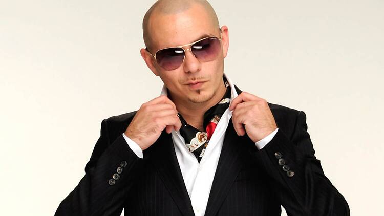 Pitbull