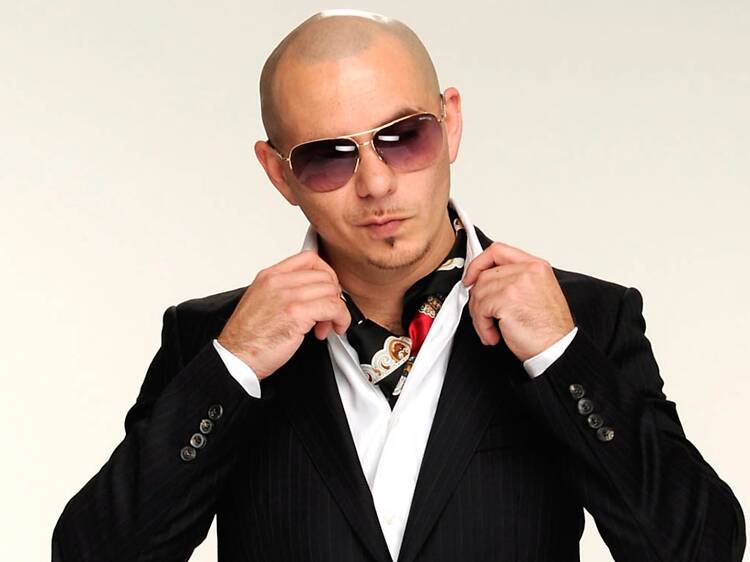 Pitbull