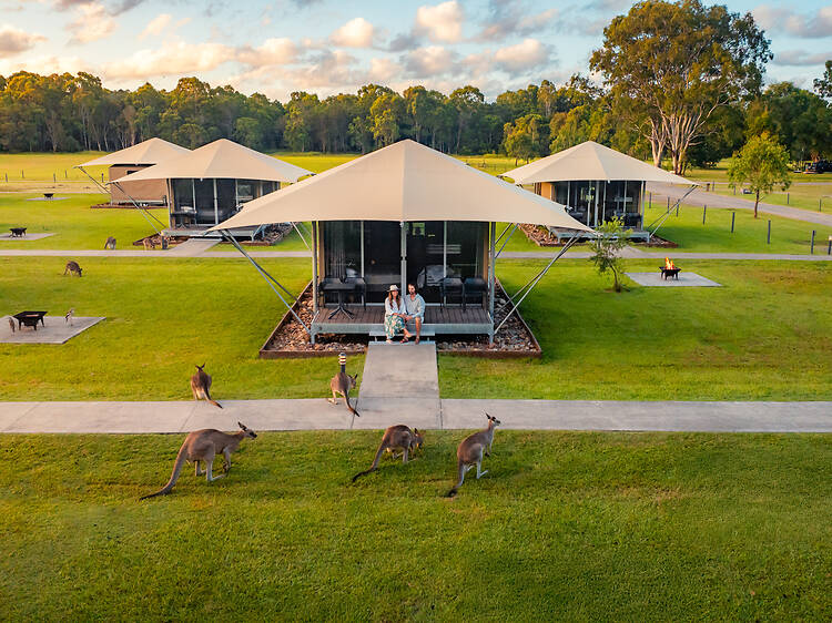 Habitat Noosa Everglades Eco Camp