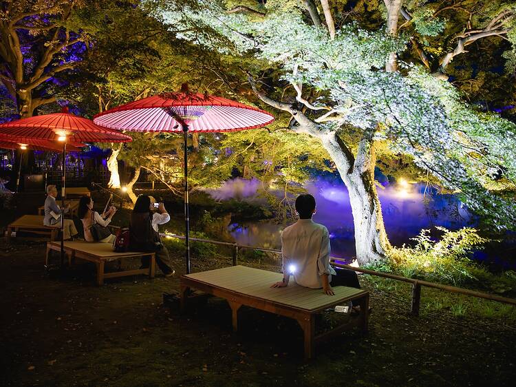 Zen Night Tokyo Zen Night Tokyo