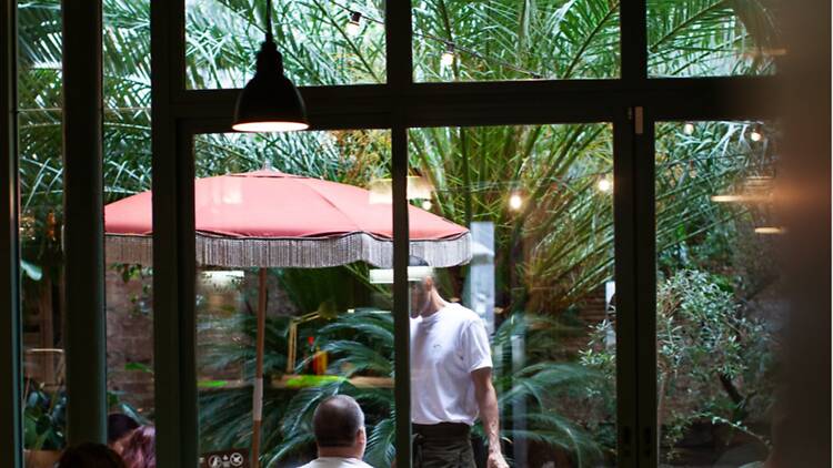 Jardí interior de la cafeteria SOM Jardí interior de la cafeteria SOM