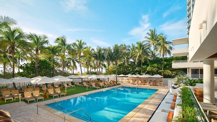 Royal Palm South Beach Miami, A Tribute Portfolio Resort