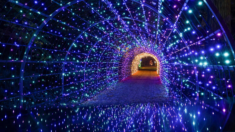 Garden of Lights ELTE Füvészkert