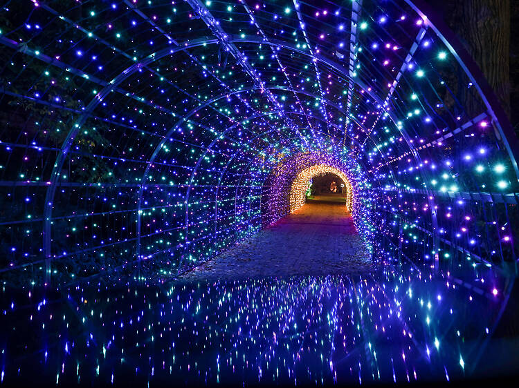 Garden of Lights: The Beauty & the Beast @ ELTE Botanical Garden Garden of Lights: The Beauty & the Beast @ ELTE Botanical Garden