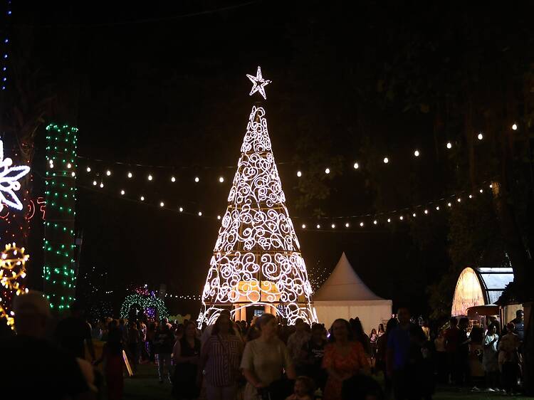 Durban's Trail of Lights turns 10 with a festive new experience Durban's Trail of Lights turns 10 with a festive new experience