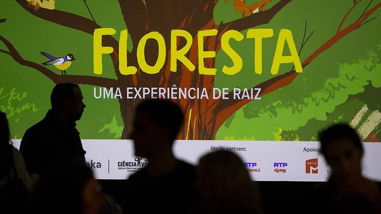 FLORESTA: Uma Experiência de Raiz FLORESTA: Uma Experiência de Raiz