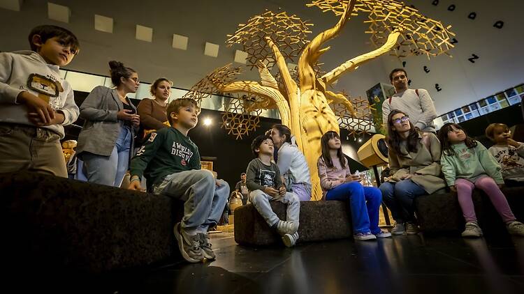 FLORESTA: Uma Experiência de Raiz FLORESTA: Uma Experiência de Raiz