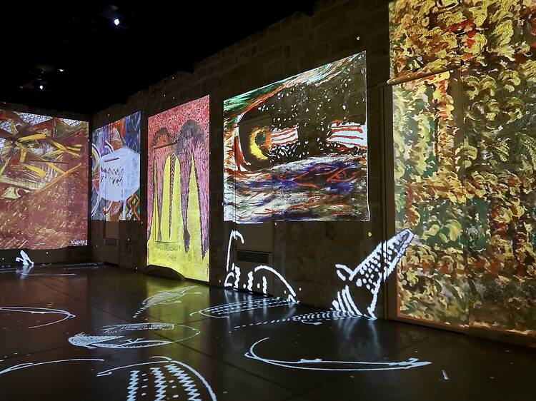 Amazonia Immersive Art Amazonia Immersive Art