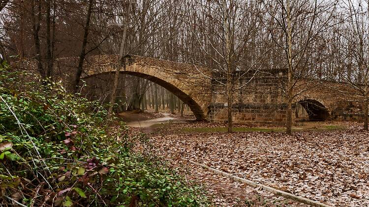 Puente Romano de Talamanca de Jarama Puente Romano de Talamanca de Jarama