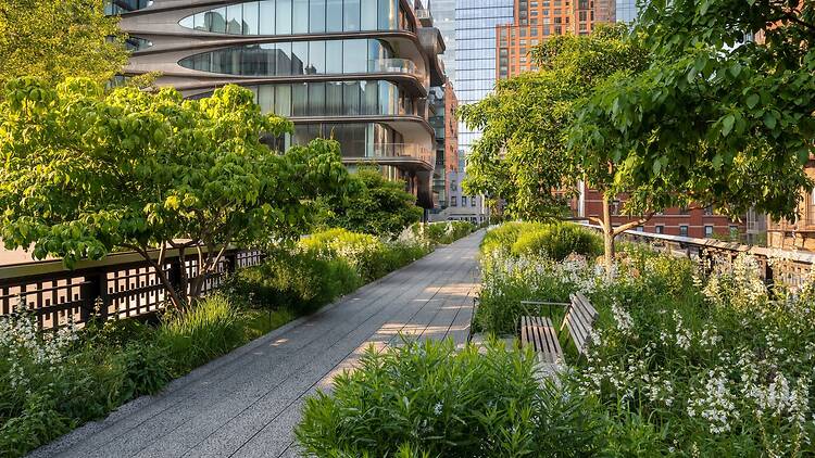 The High Line Park promenade in summer The High Line Park promenade in summer