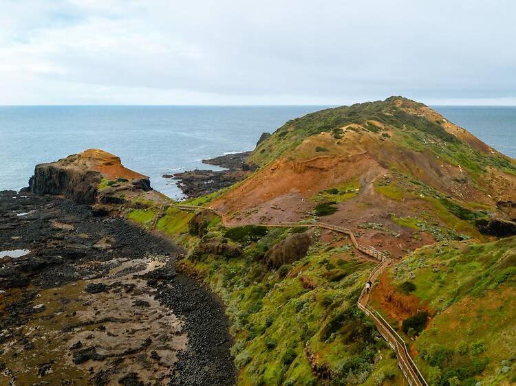 Bushrangers Bay Trail