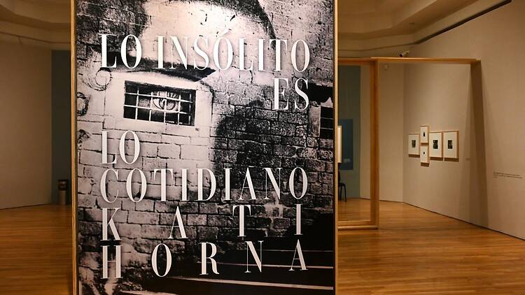 Las mejores exposiciones para visitar en noviembre
