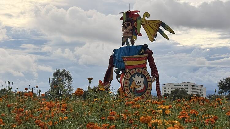 Valle de Catrinas 2026 en Atlixco: dioses prehispánicos, fechas y cómo llegar desde CDMX