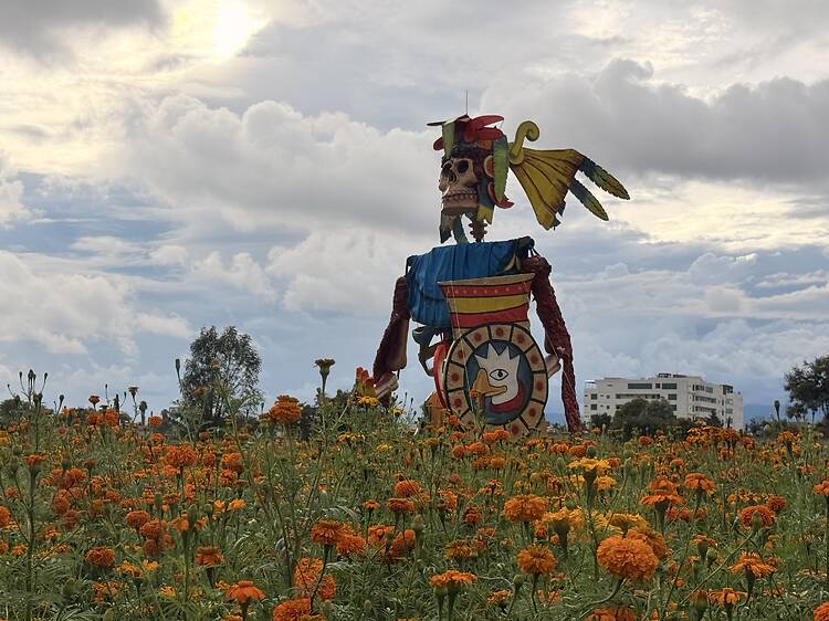 Valle de Catrinas 2026 en Atlixco: dioses prehispánicos, fechas y cómo llegar desde CDMX