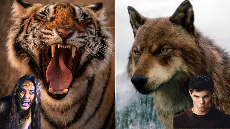 Round 10: Suea Saming (เสือสมิง) vs werewolves Round 10: Suea Saming (เสือสมิง) vs werewolves