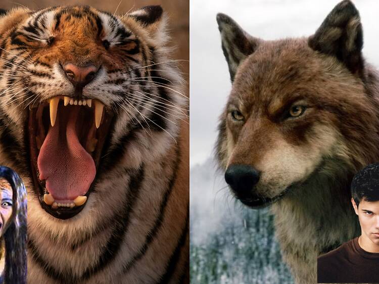 Round 10: Suea Saming (เสือสมิง) vs werewolves Round 10: Suea Saming (เสือสมิง) vs werewolves
