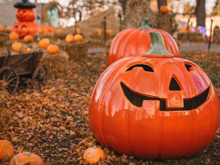 Halloween events in Helsinki: 30 October to 1 November