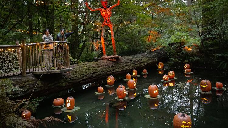 Canyon Frights at Capilano Suspension Bridge Canyon Frights at Capilano Suspension Bridge