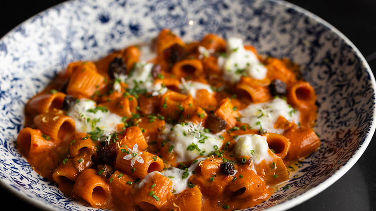 A plate of pasta.