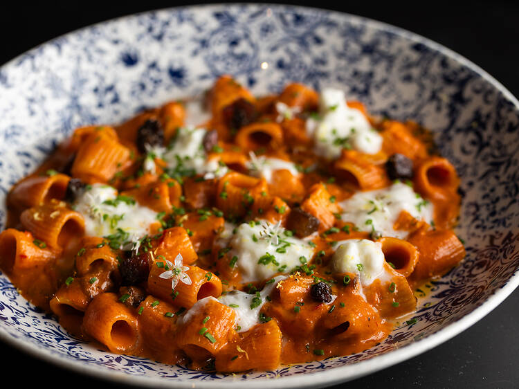 A guide to Italian food in Chicago, according to the city’s best chefs