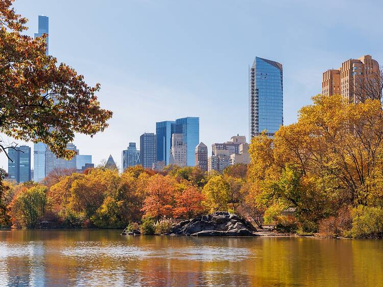 NYC has had exceptional fall weather all week—here’s what that means for this weekend’s Halloween forecast