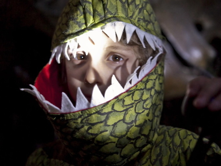 Sleep under a dinosaur at the Natural History Museum