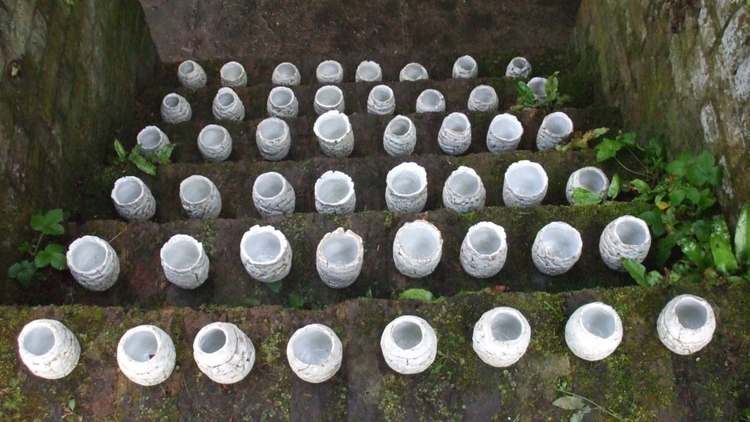 Thousand pots 3.jpg