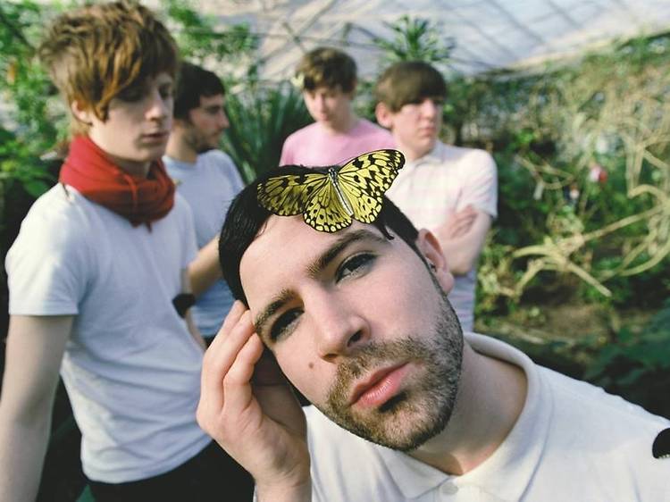 Foals