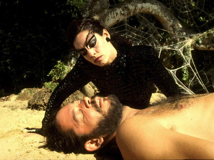 Kiss of the Spider Woman (1985)