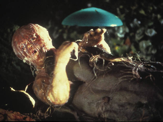 The 100 best horror films, horror movies, invasion of the body snatchers 1978