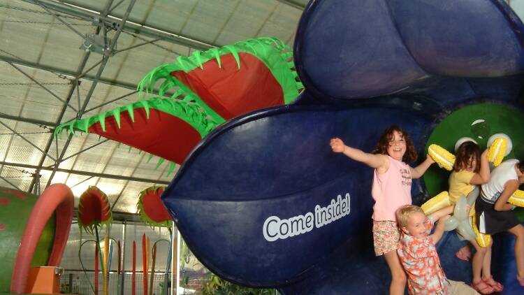 Nurture a budding nature lover at Kew Garden's Climbers and Creepers