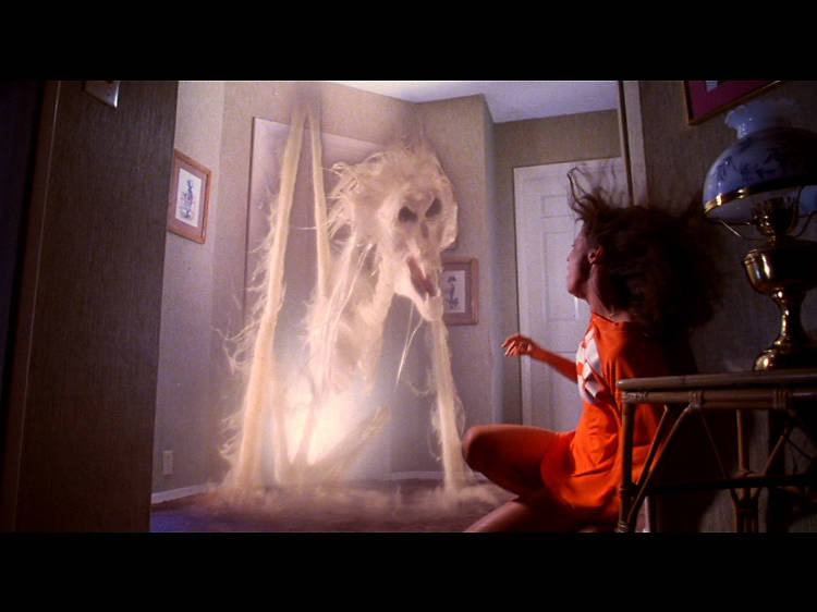 Poltergeist (1982)