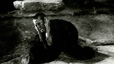 Kwaidan (1964)