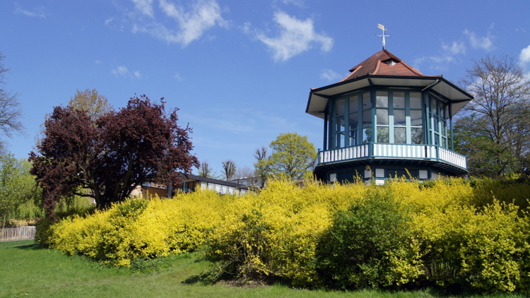 Horniman Museum